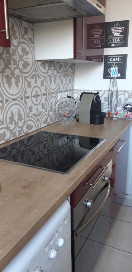 La Belle Escale Apartment Belfort Ngoại thất bức ảnh